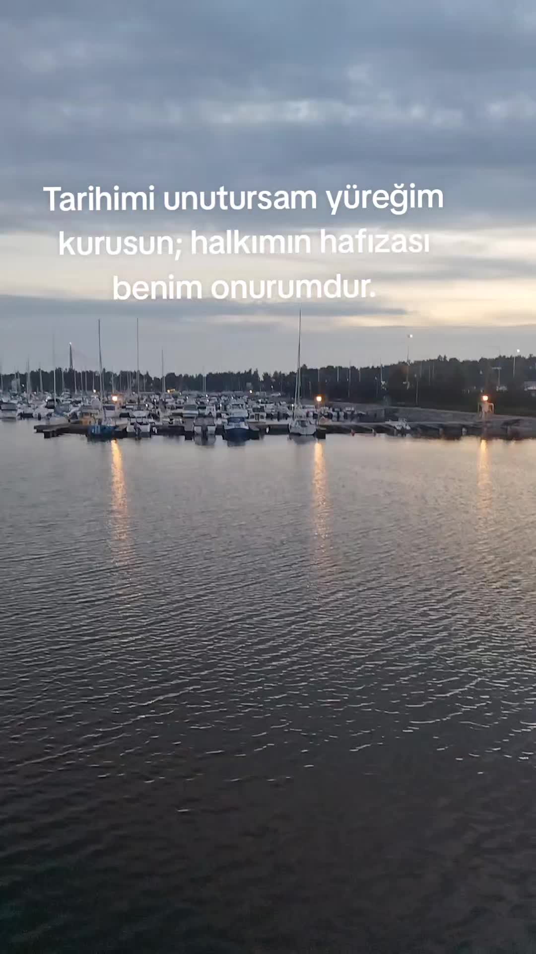 @Gayet Menteşe
