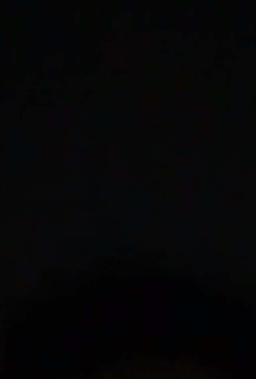 @𝐋♛