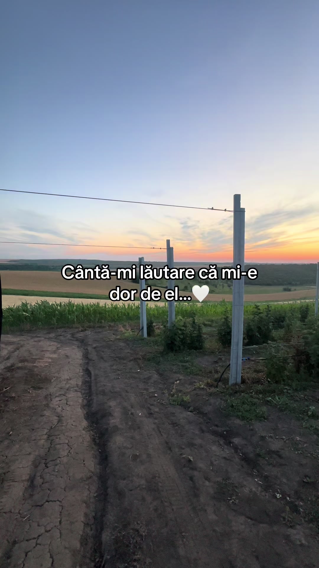 @Pls๐๐