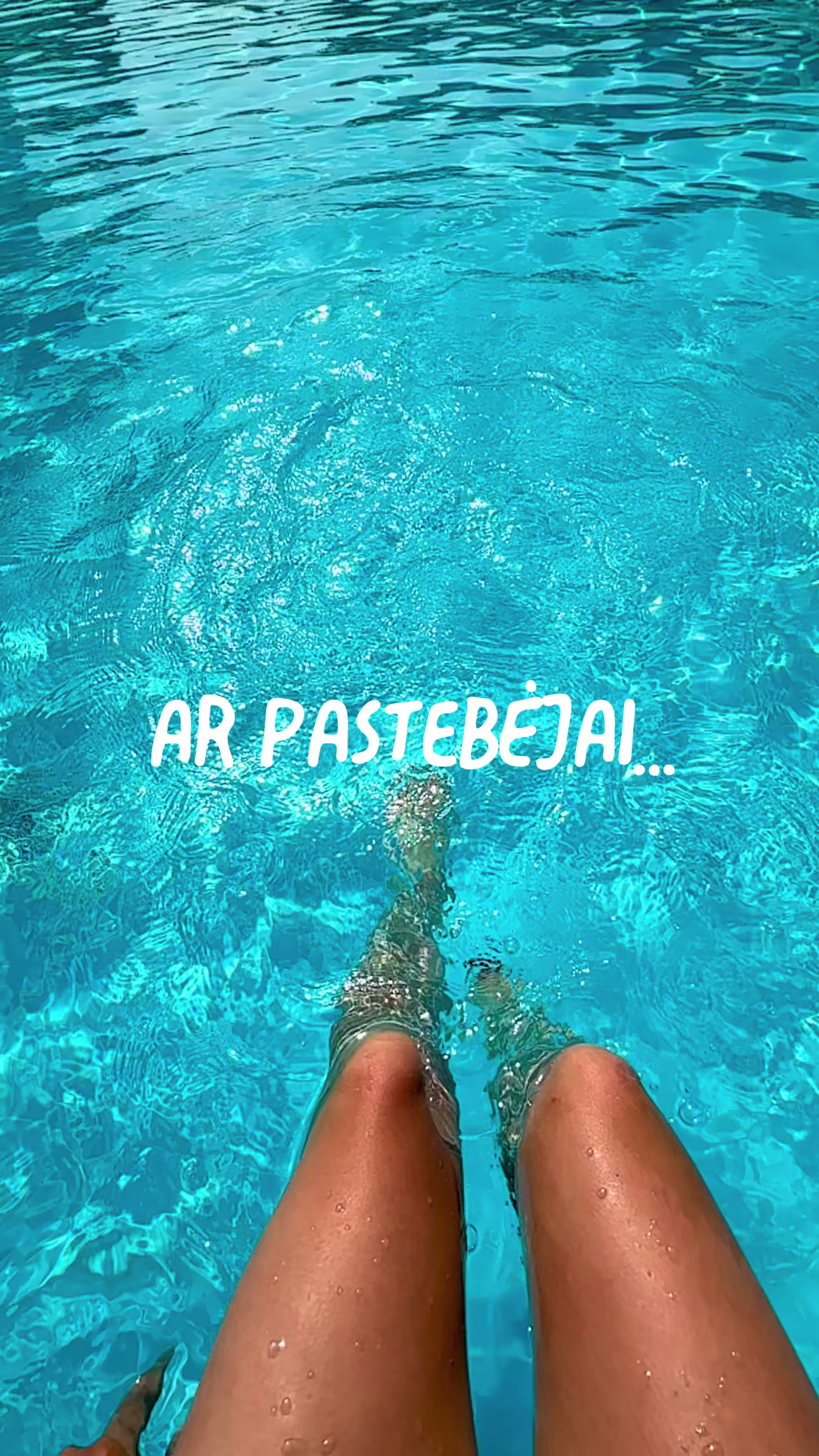 @Rasa Rib