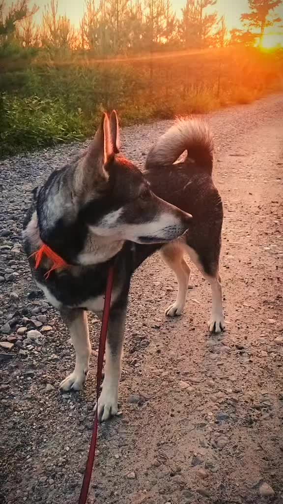@PawPrintLifestyle 🐾🇫🇮