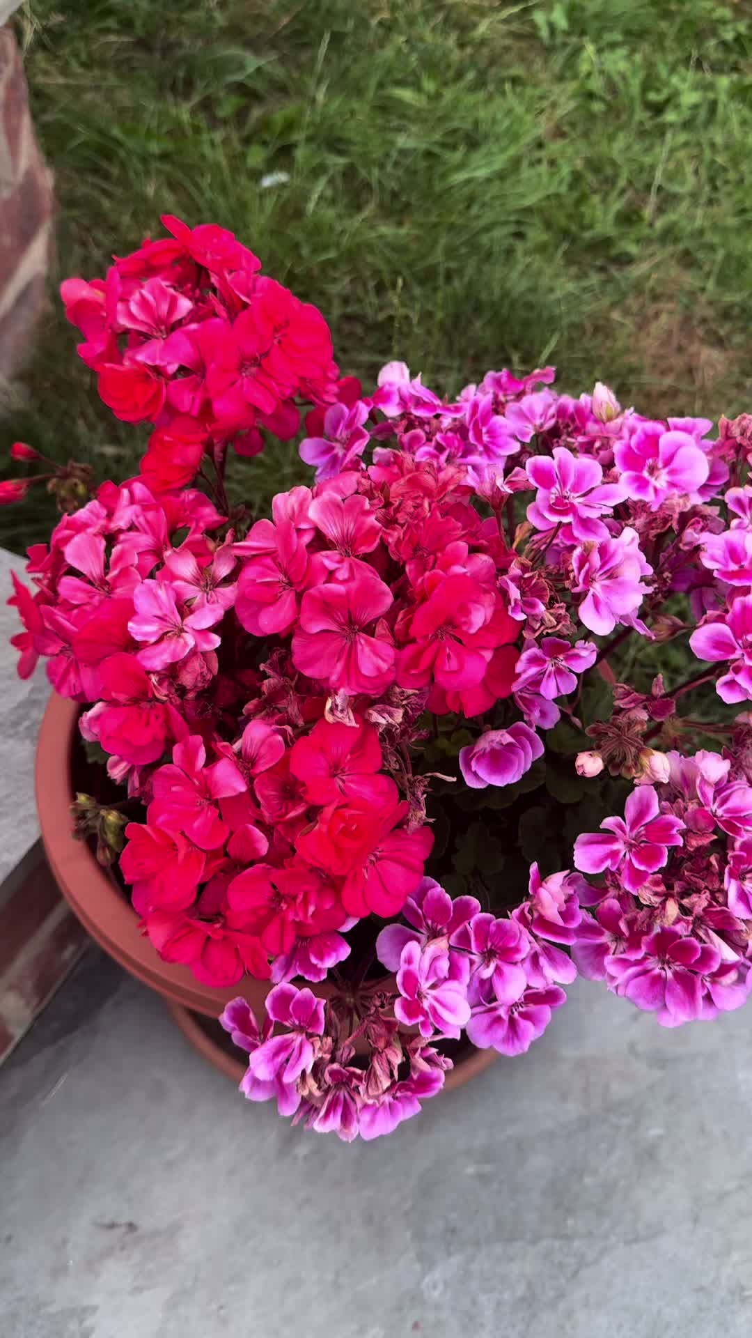 @nighatfarzana8