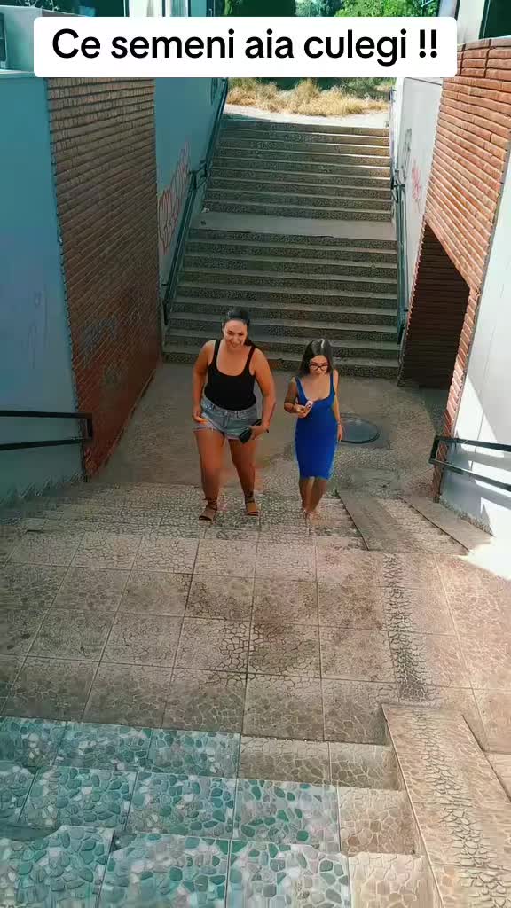 @Ana Ana
