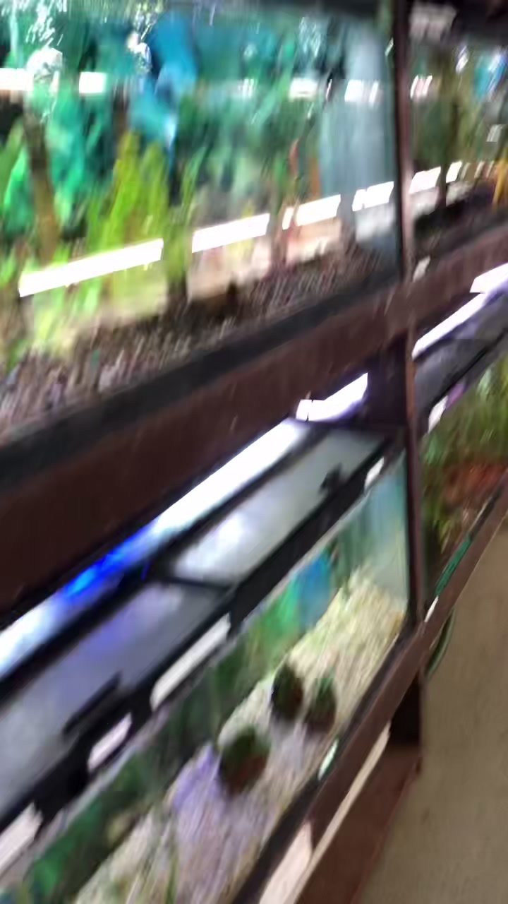 @HeyFishyFishy