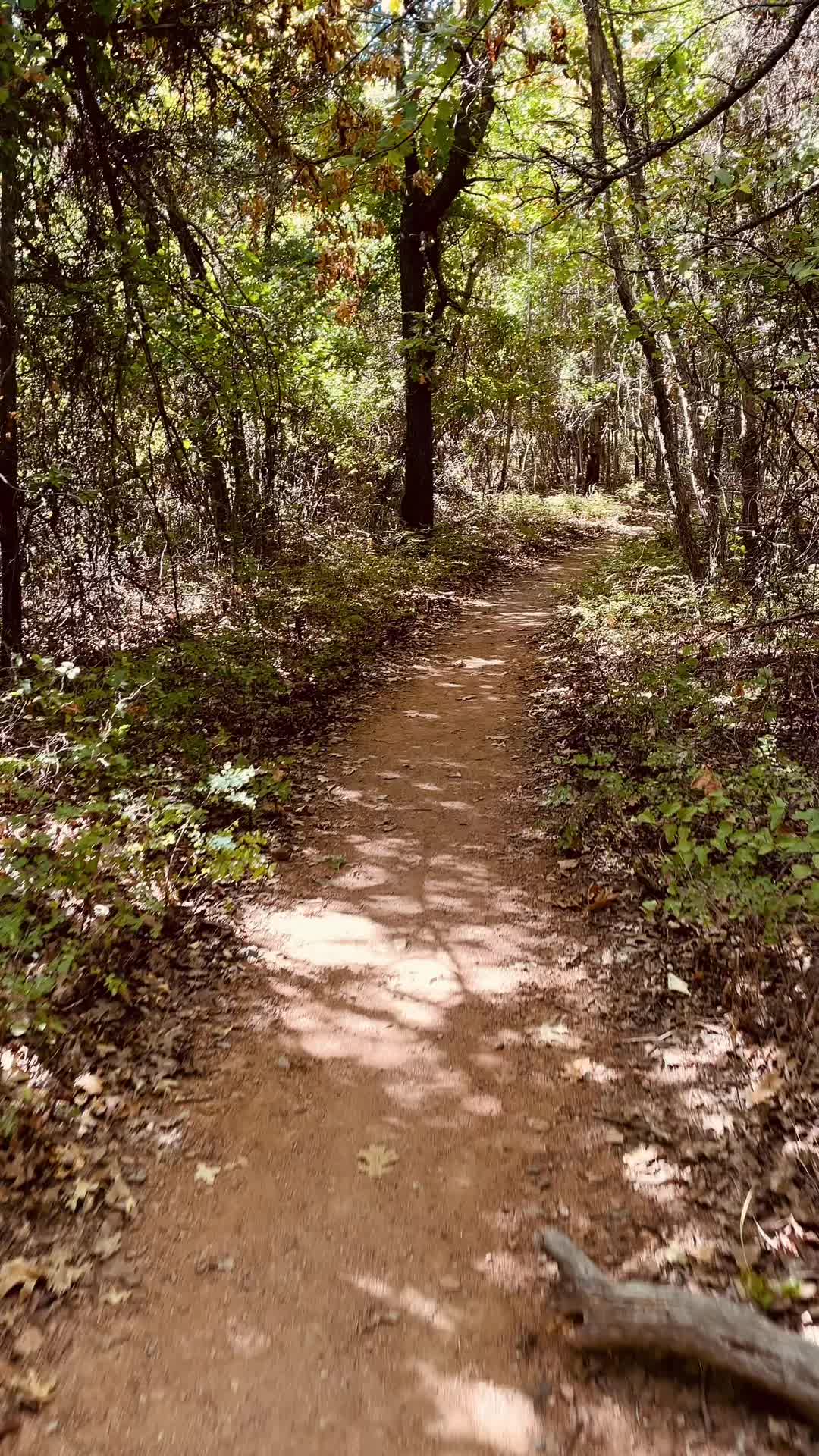 @Ashley Trail