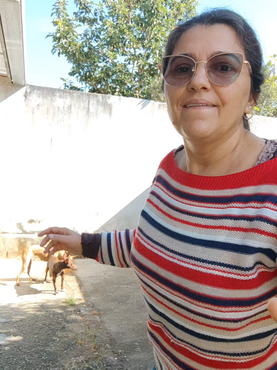 @Belinha e tiamara