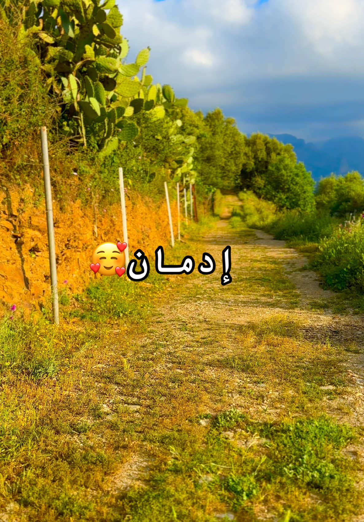 @Raouf Zrg