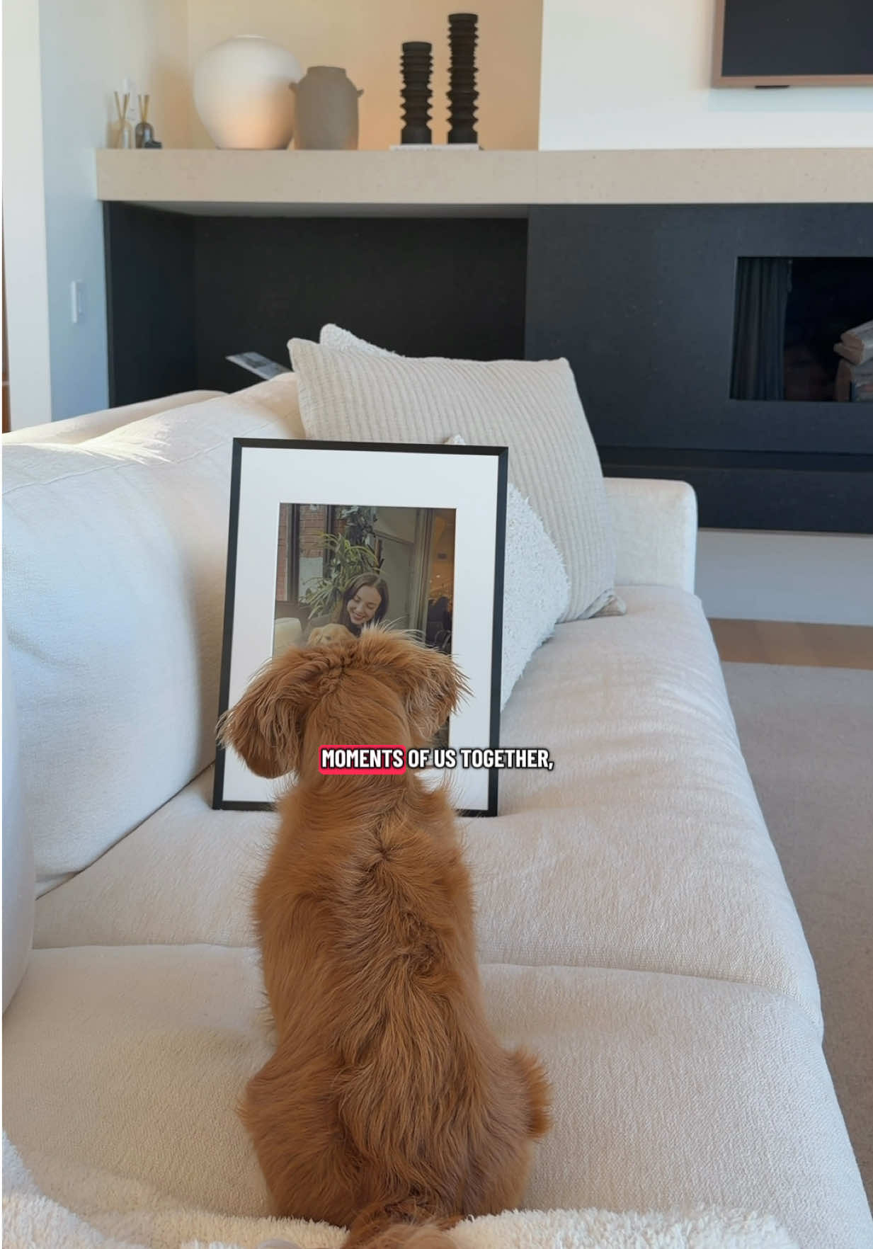 @cashewdachshund