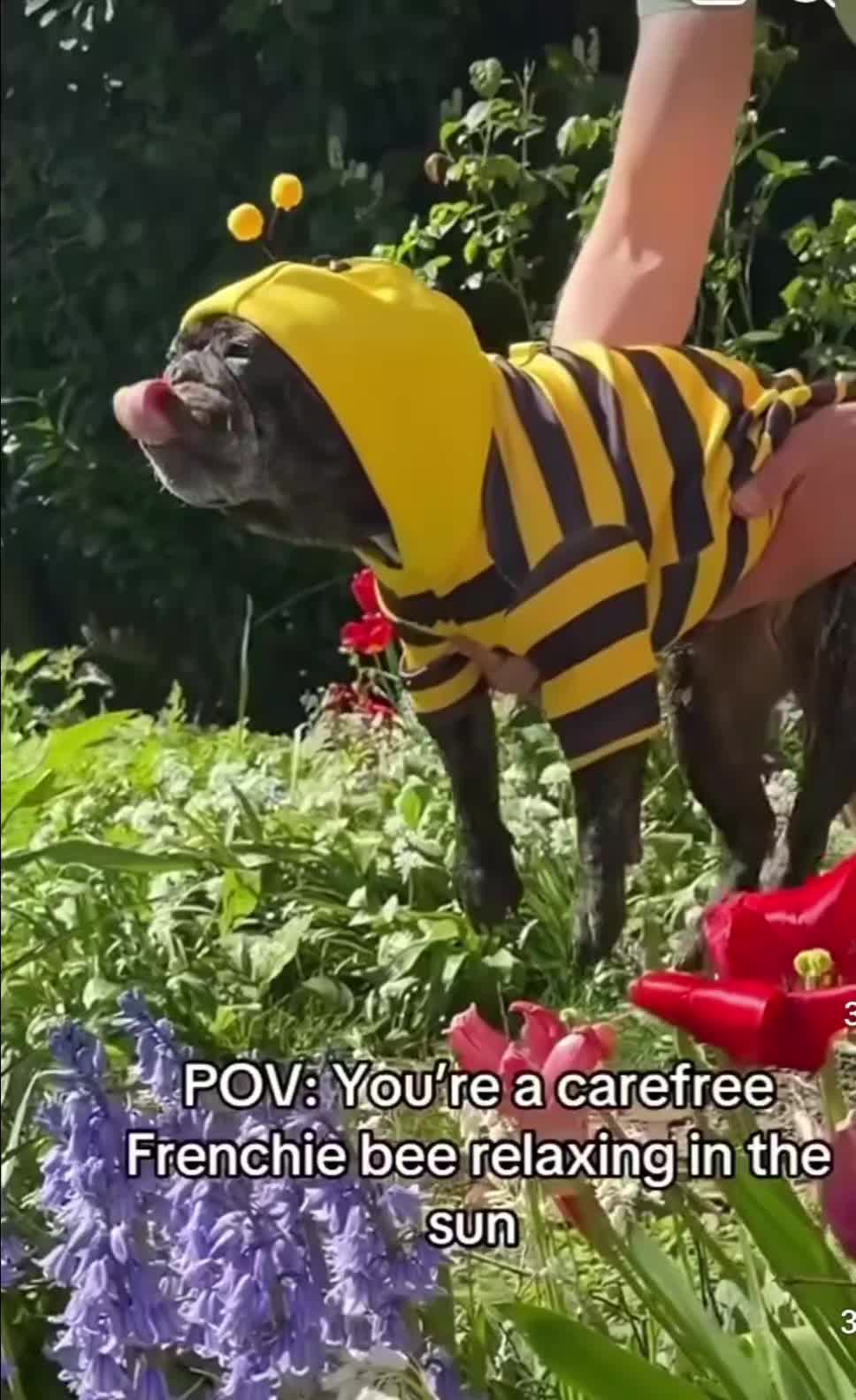 @Francesca