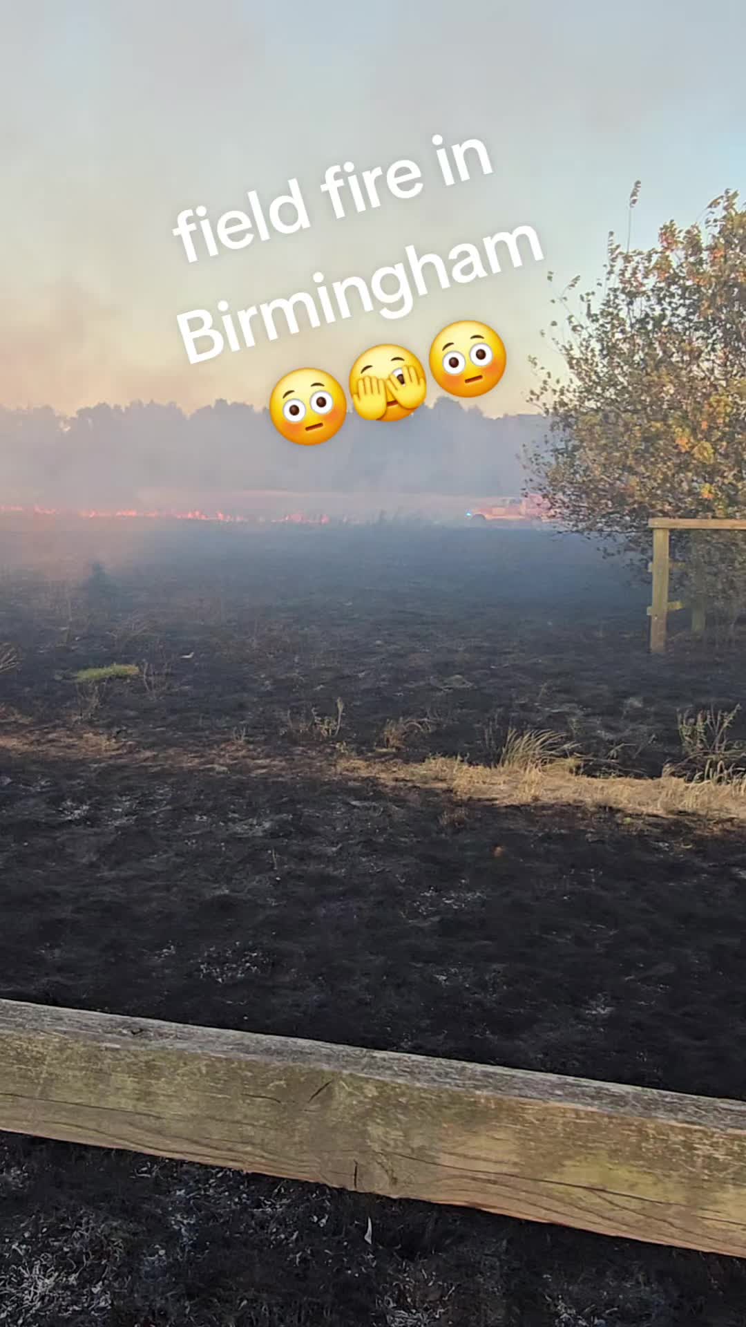 @mariuszmwm