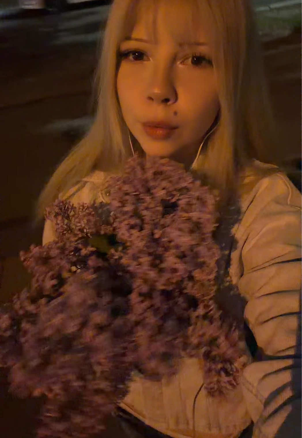 @augushaa