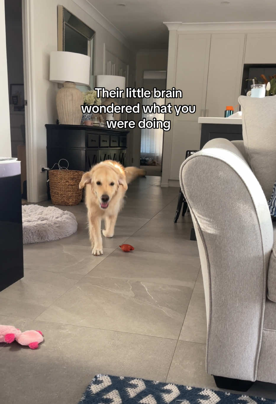 @lunas_golden_life