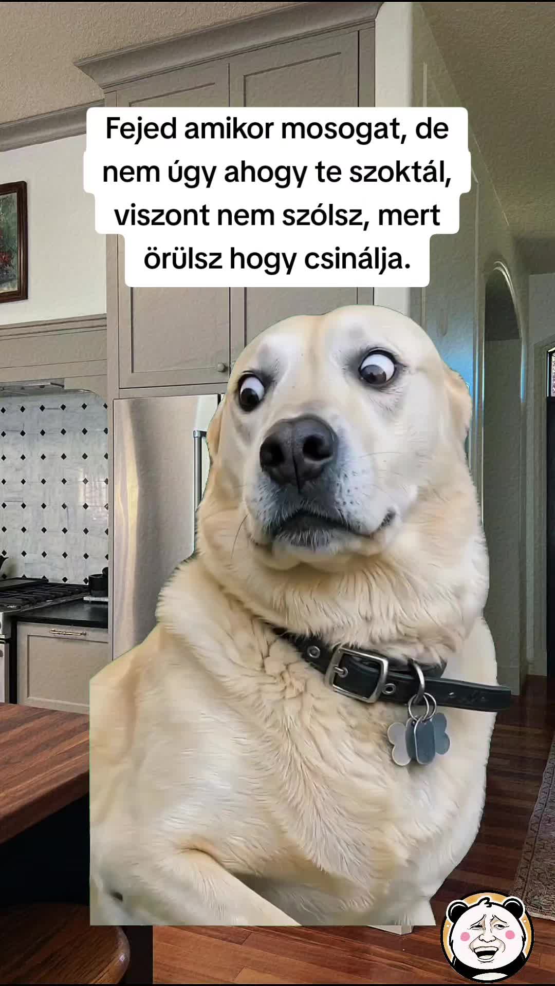 @🐼 Po&eacute;nPanda 🐼