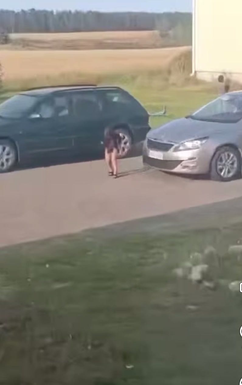 @Jasmin Alvari Aleksi Långström