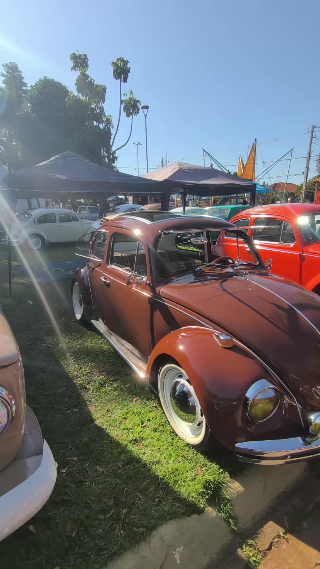 @Cars in Brasil
