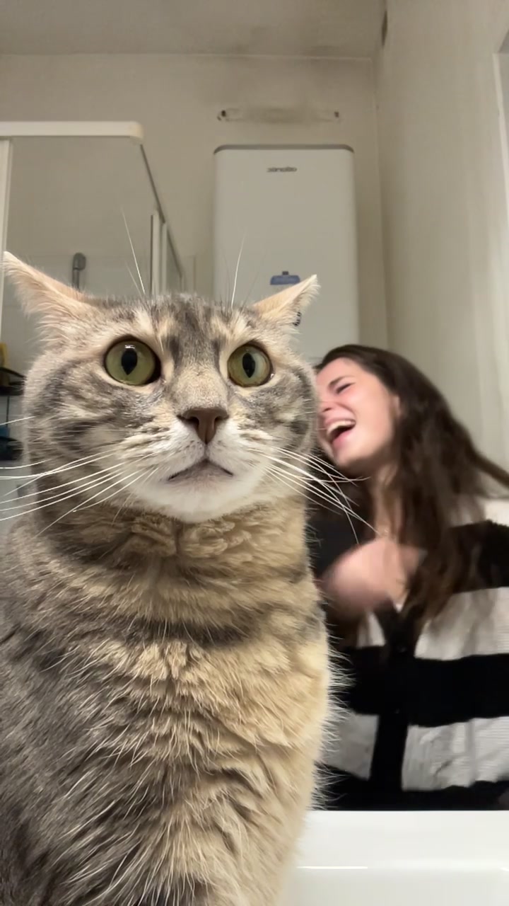 @Le_drama.cat 🇫🇷