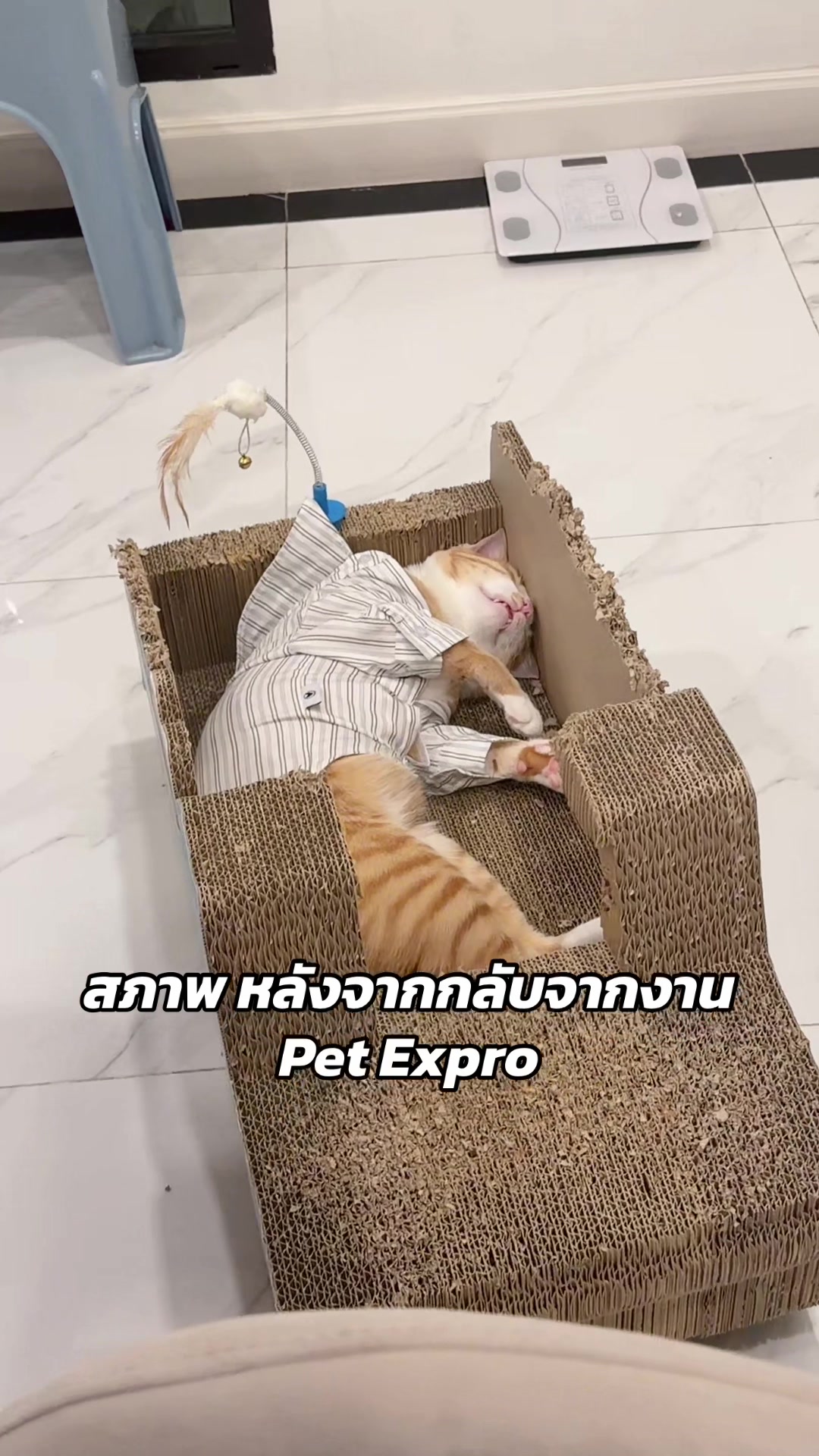 @เกรท 97 💚✨