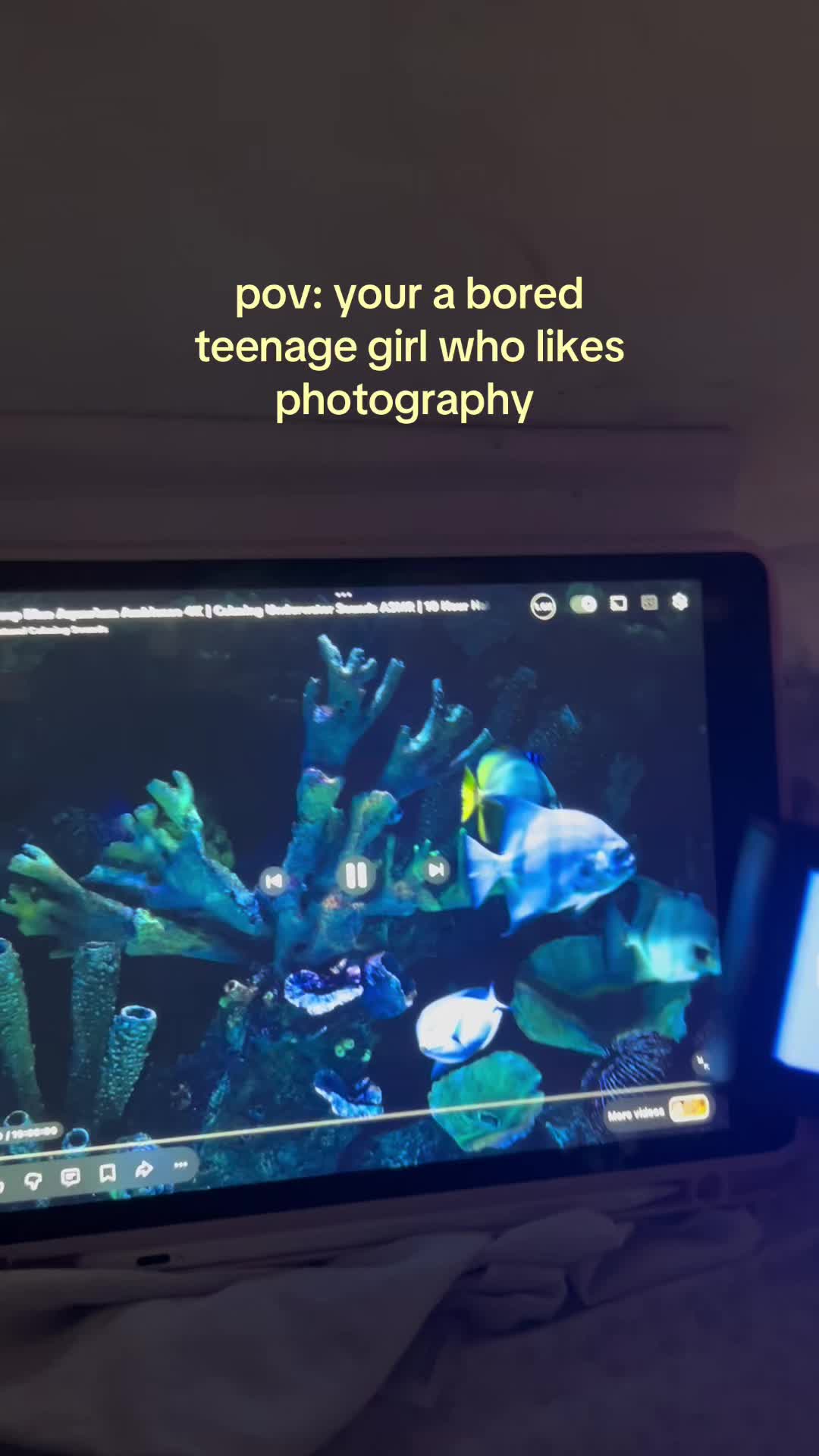 @⋆˚꩜｡