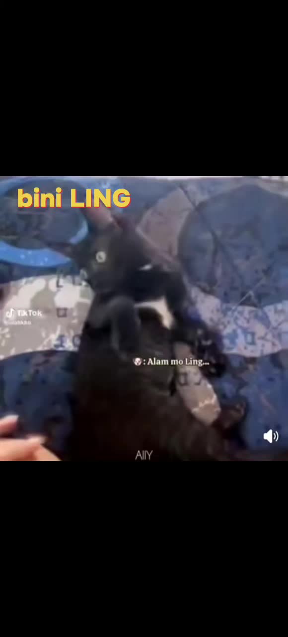 @BINIverse