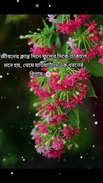 @N&ordf;&eth;&iexcl;m &sect;&ordf;&reg;k&euro;