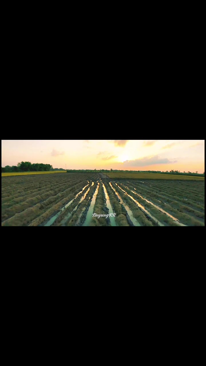 @BuyungKR.FPV