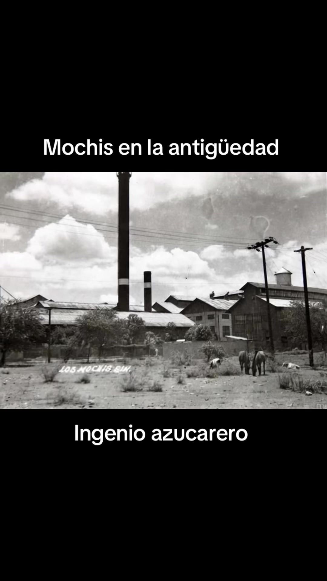 @mi rancho querido