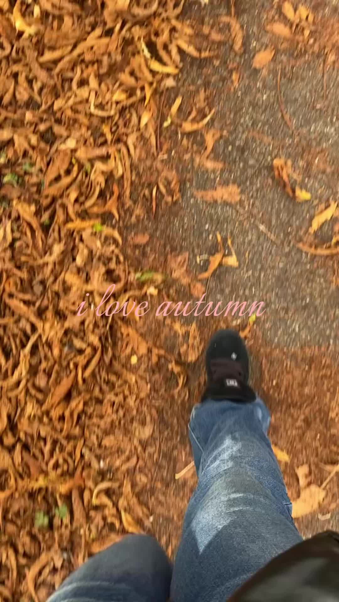 @🪽