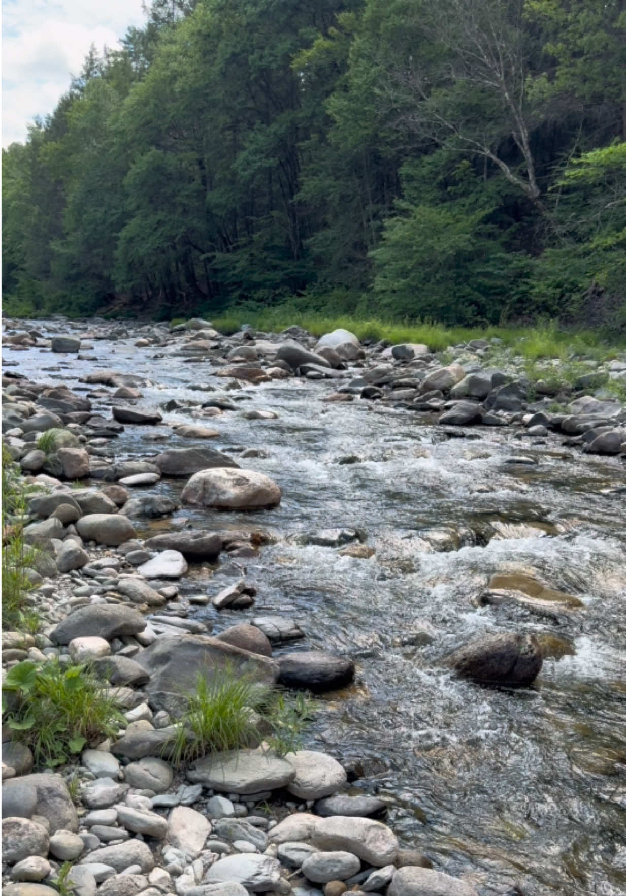 @vin_skay