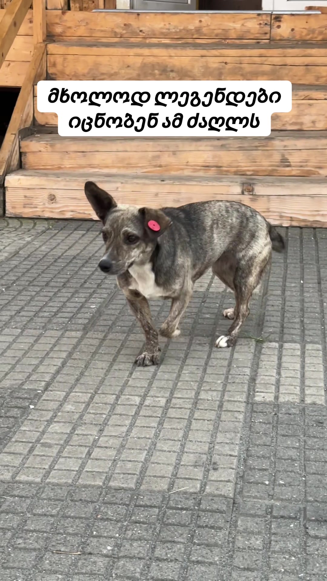 @Rtvelo