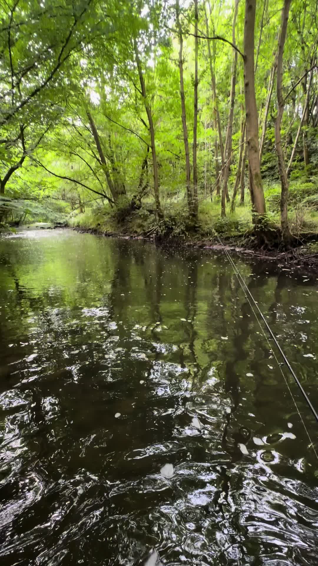 @Alba Trout 🏴