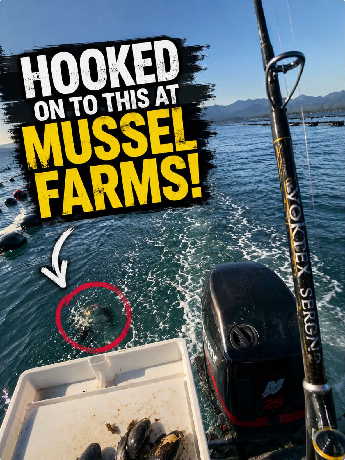 @CCFishing