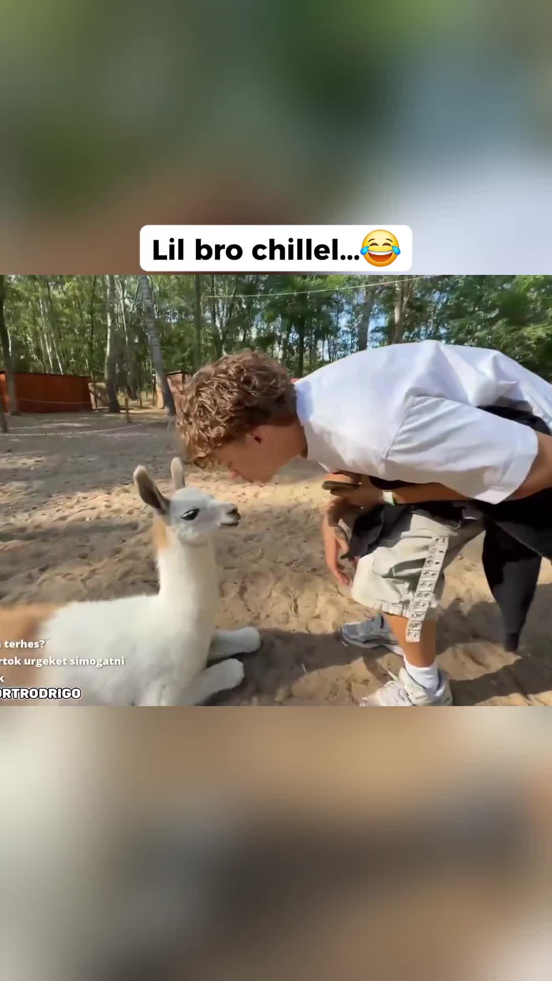 @77patrik