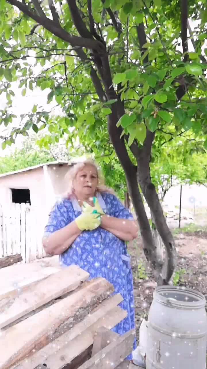 @Alejandrina Fanaru