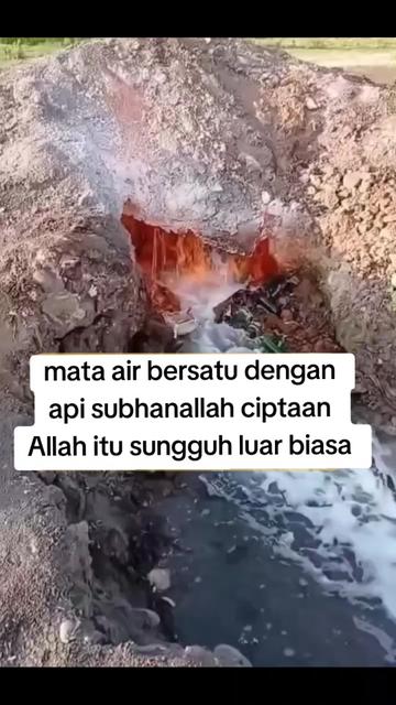 @Bunga mawar62