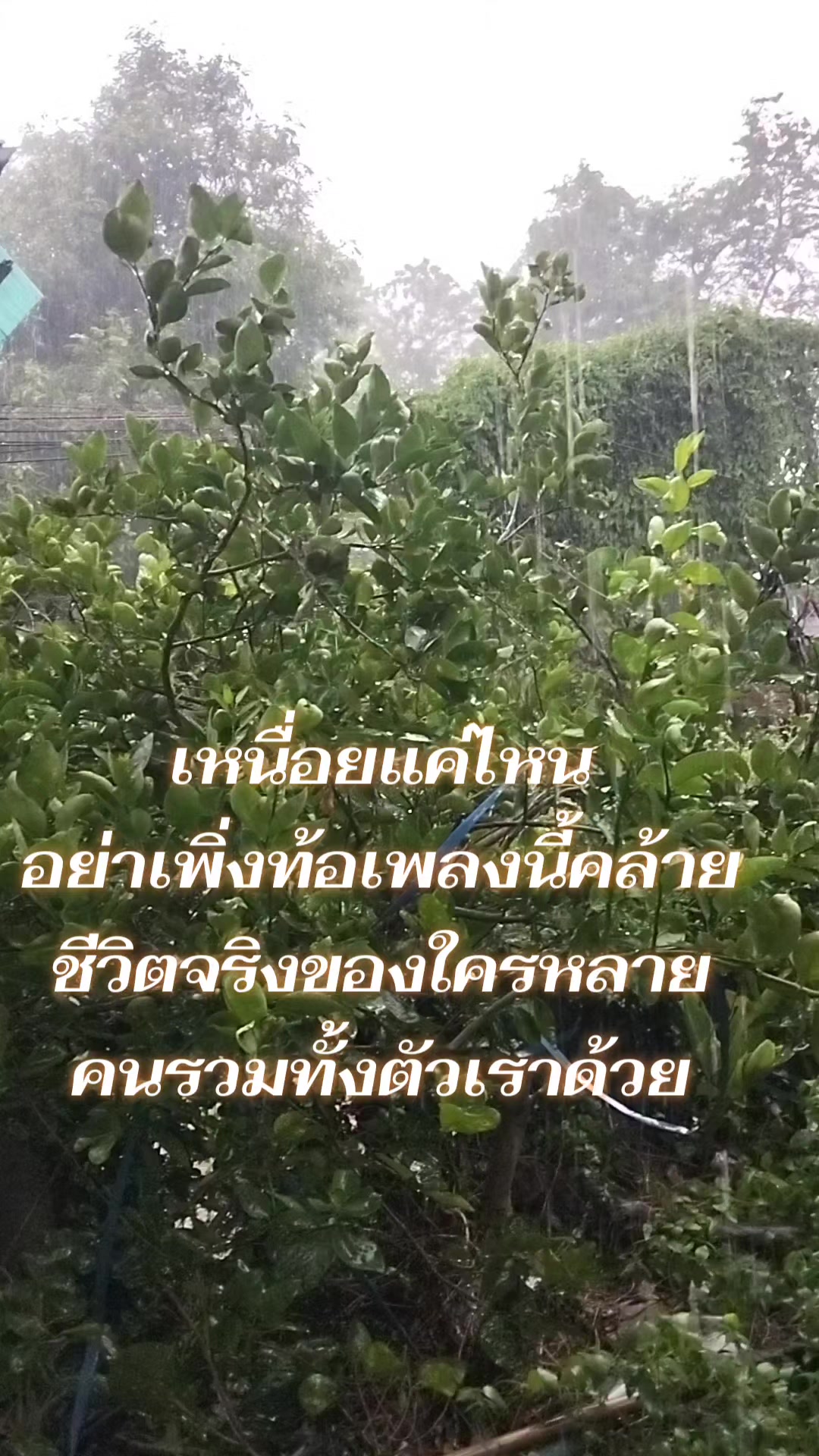 @ลำพึง    เอี่ยมสุดใจ