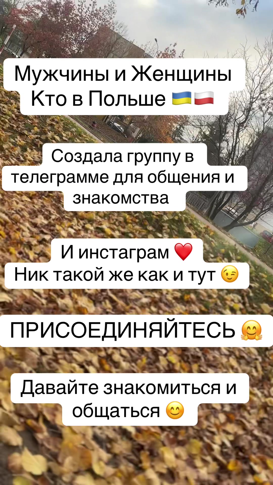 @loveis.pl_
