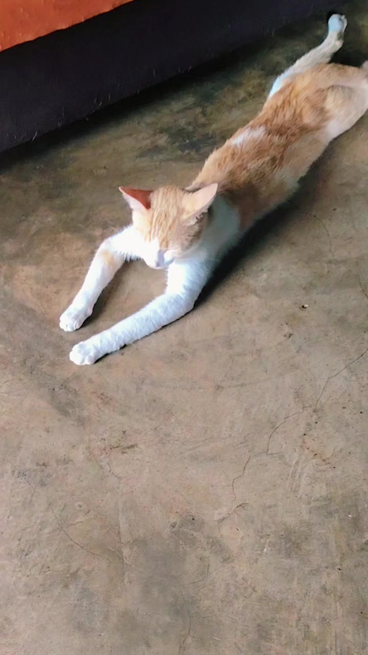 @Vicky.Morales🤩🇬🇹