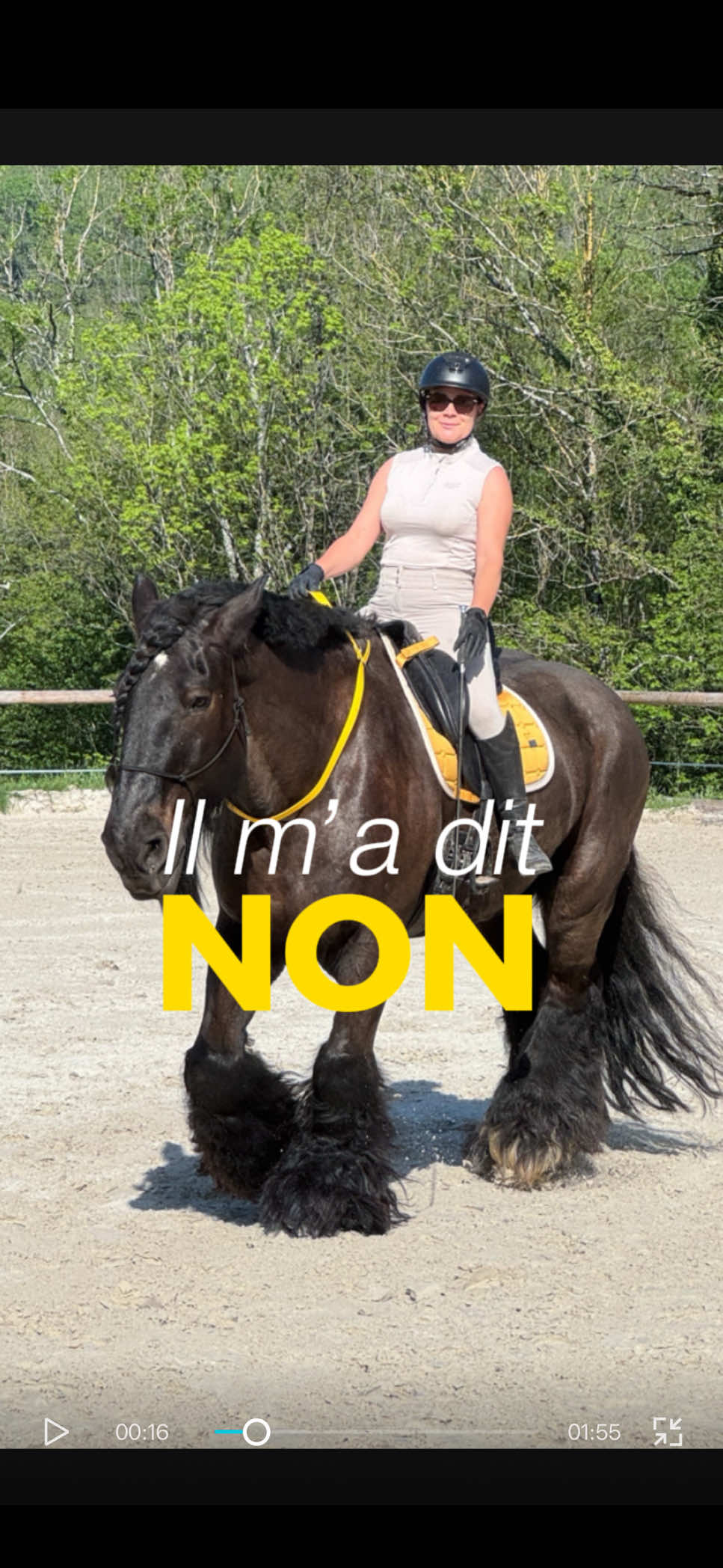 @Untraitdecheval