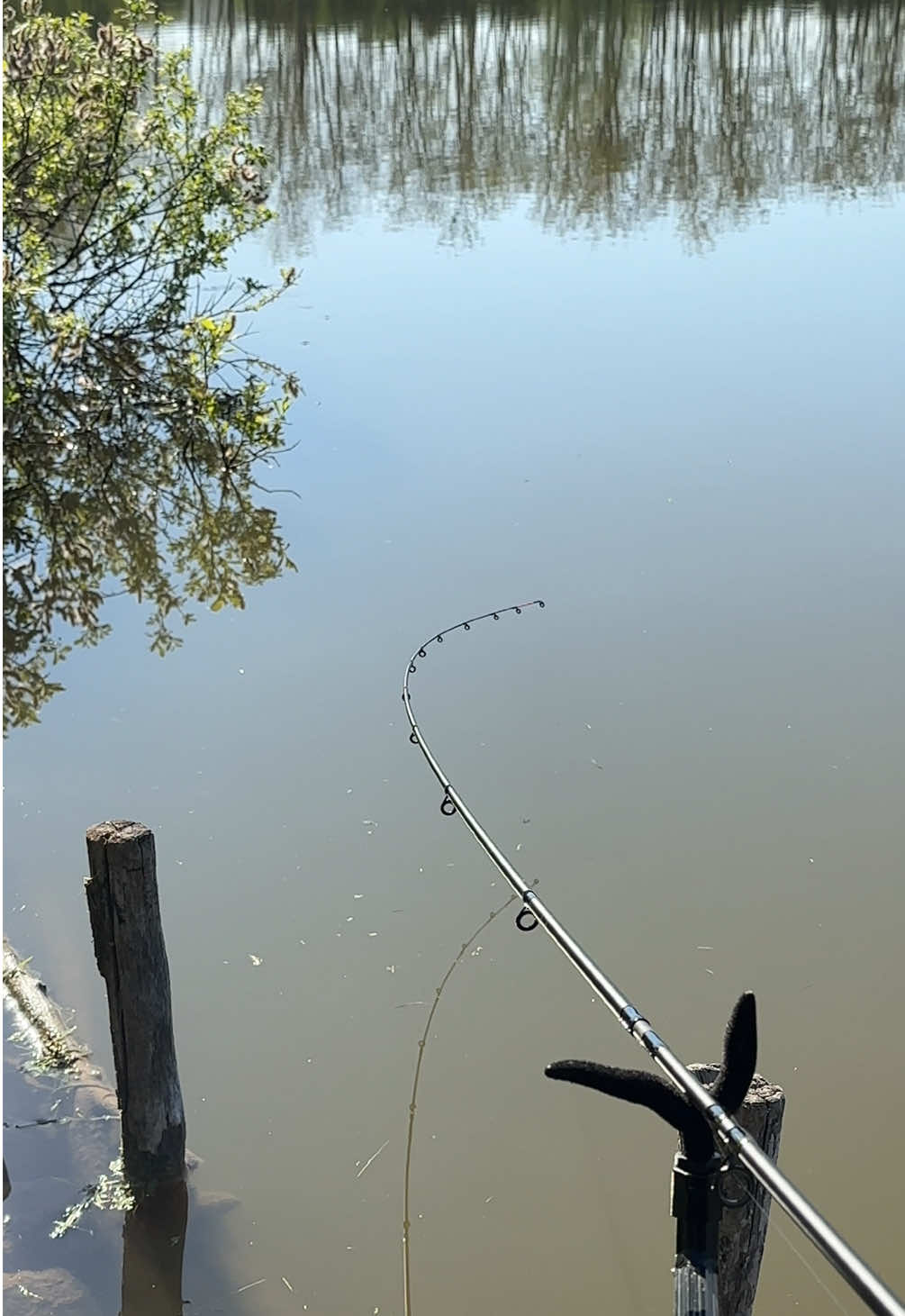 @🇭🇺CarpHunter🎣Dénes🇭🇺
