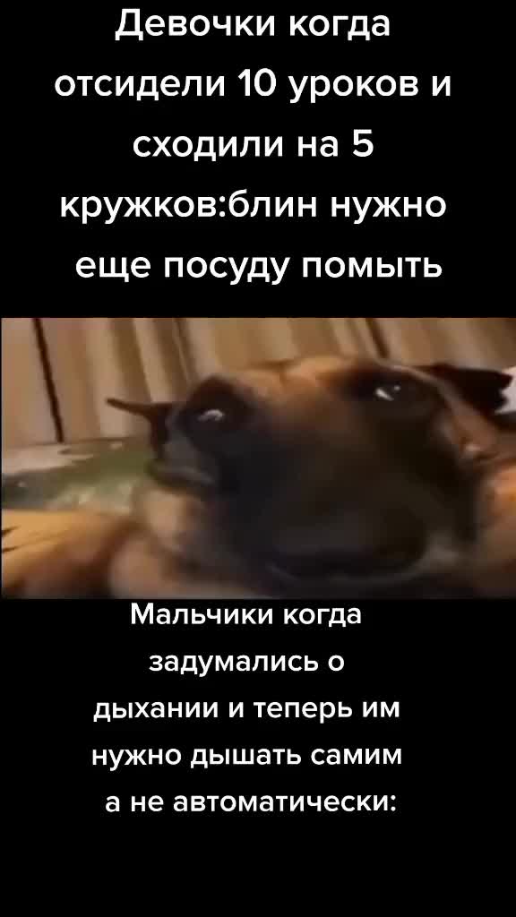 @pisyapopa1337