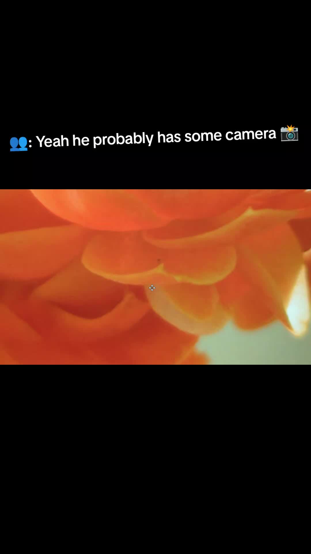 @ᐯㄥ卂ᗪ