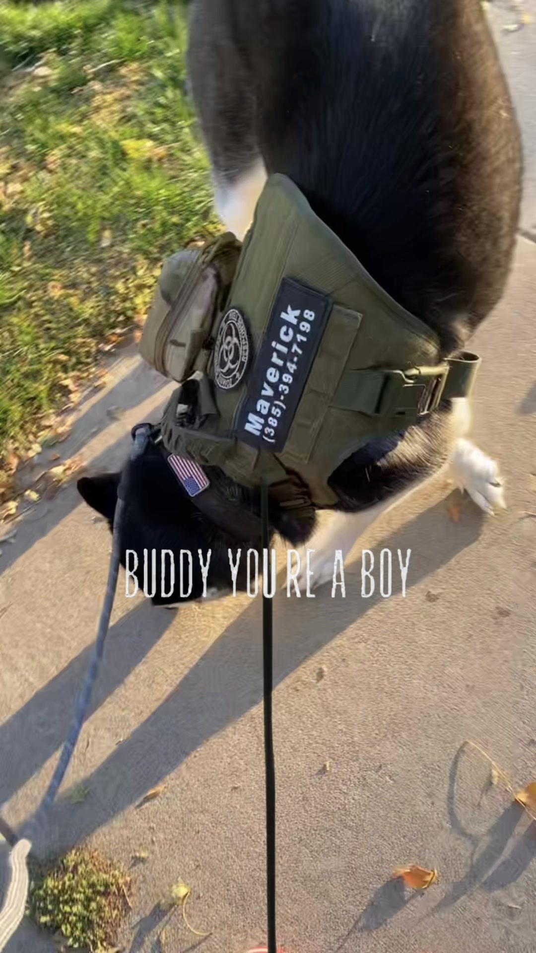 @Candyass322