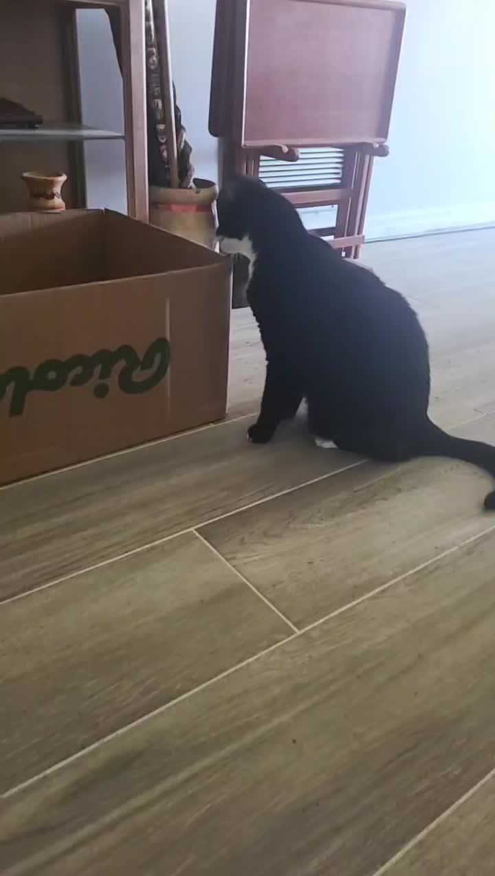 @MrPickles
