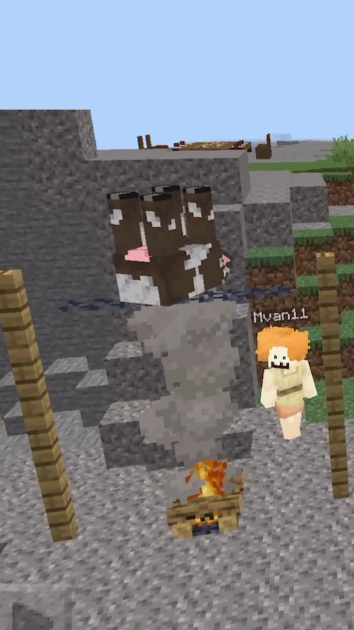 @Mvan and Pig