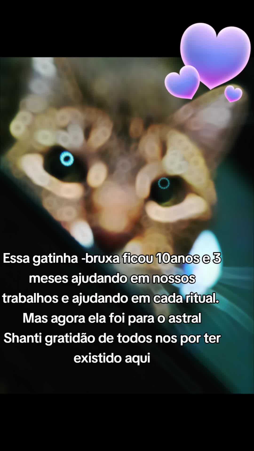 @CoisasdeBruxa479 7 0 1 3 1 6 2