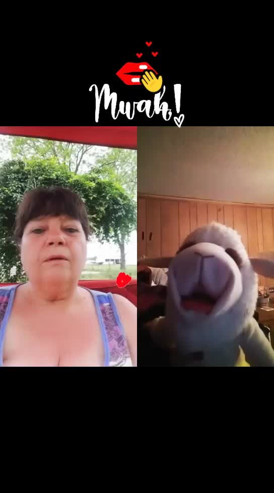 @user4496778516645