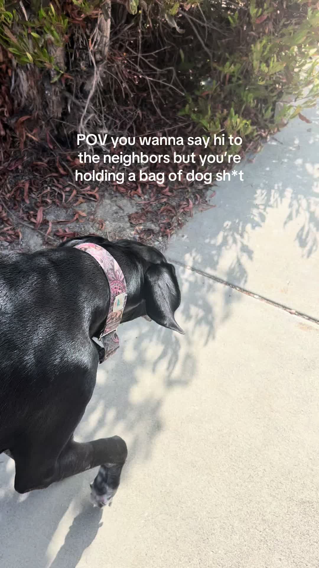 @gardeninginoside