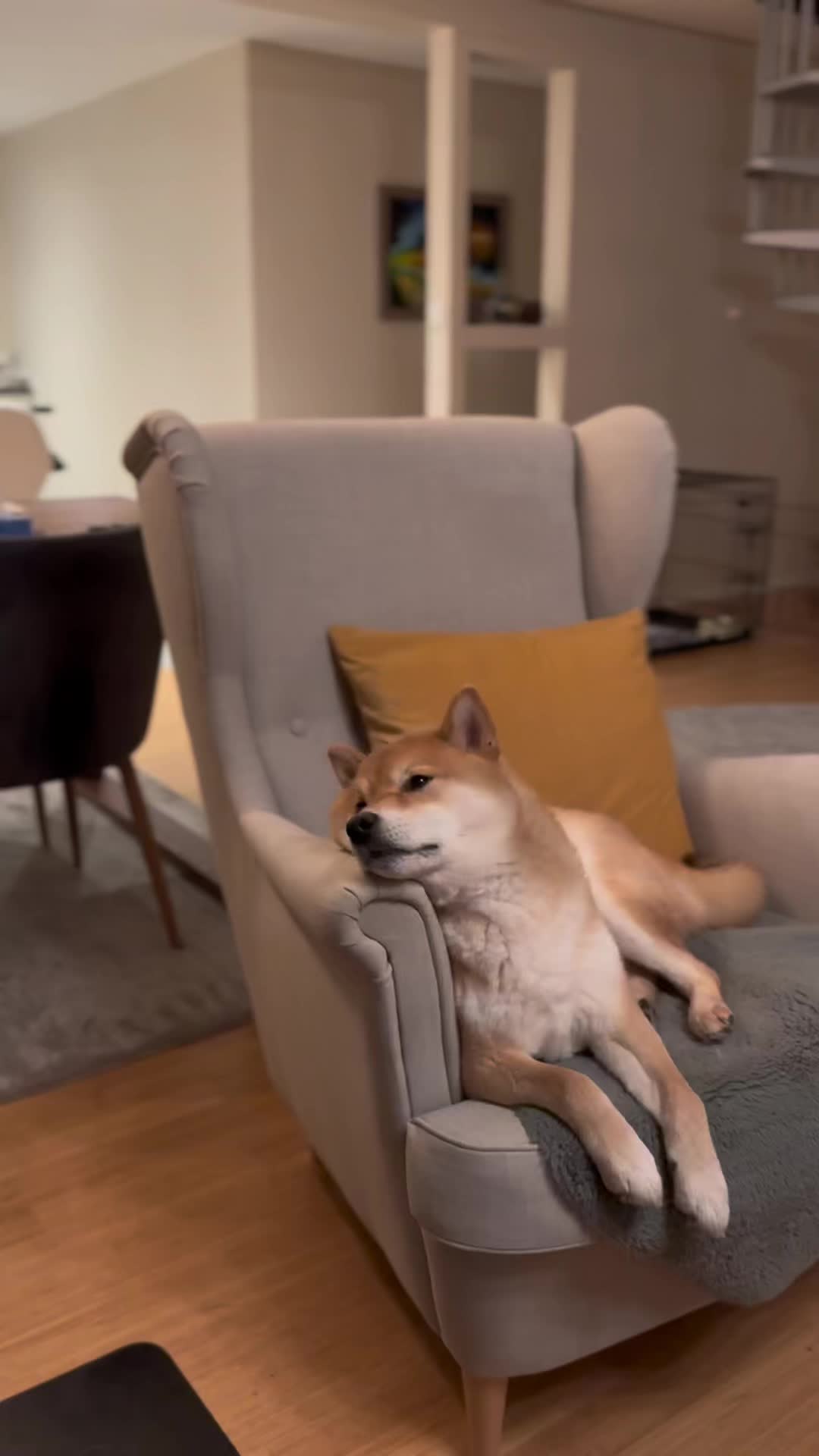 @yoshi.doggyhood