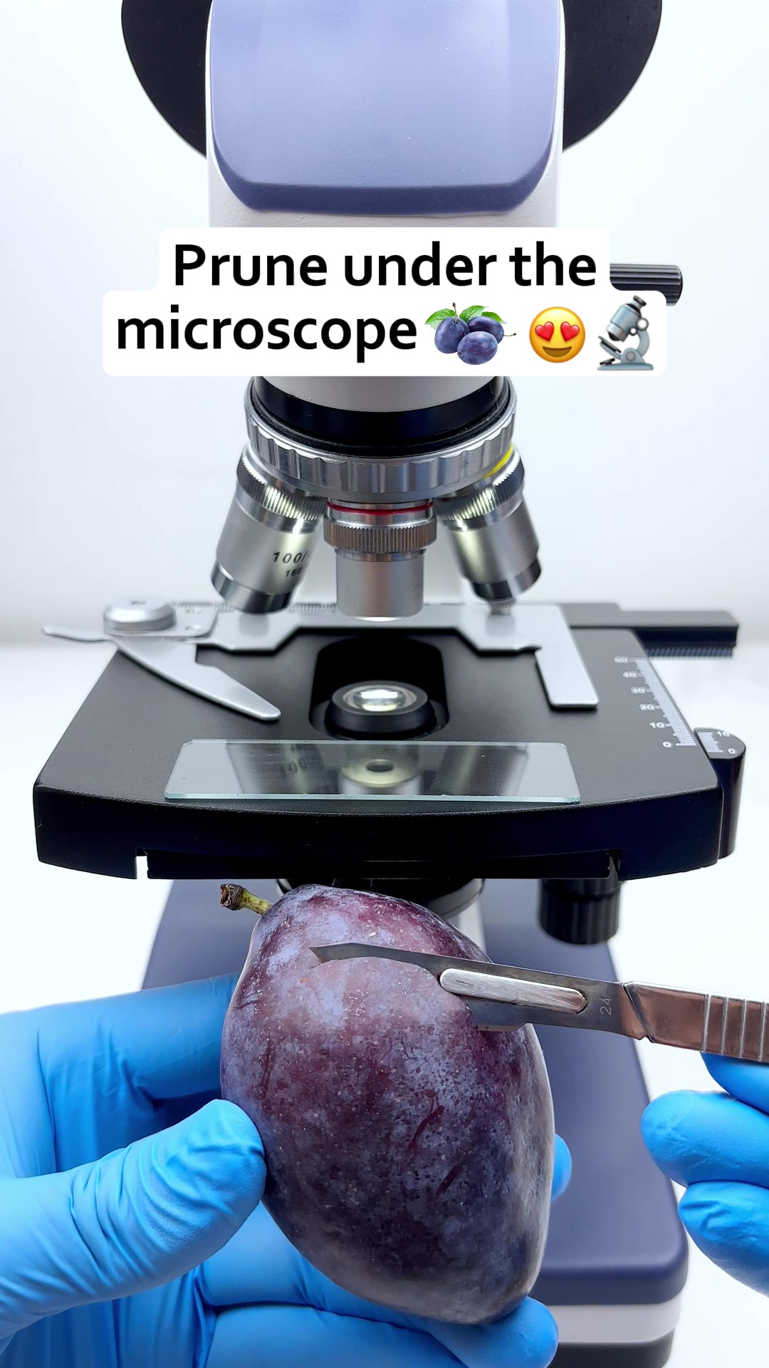 @MicroMagic6