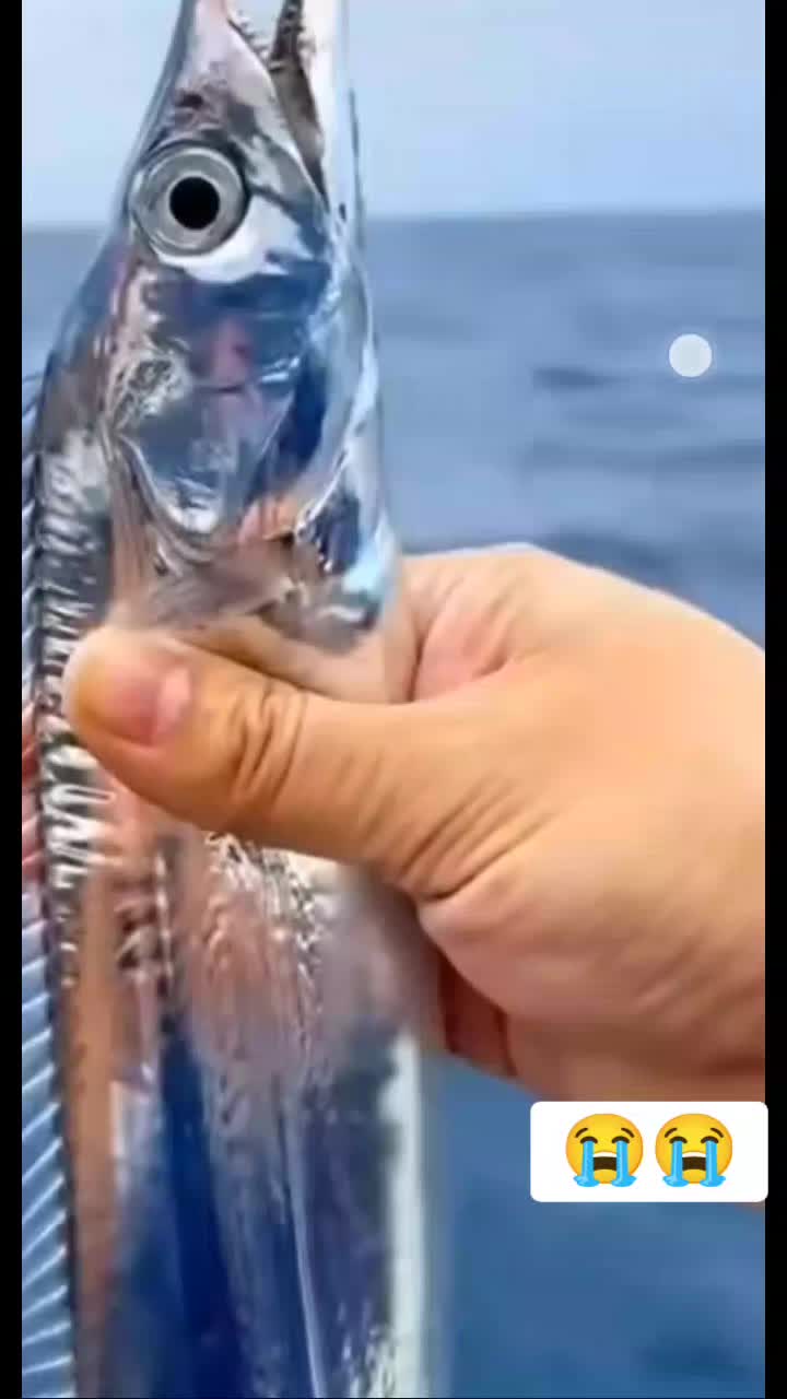 @محبة في الله